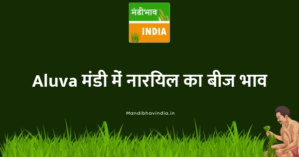 Coconut Seed भाव